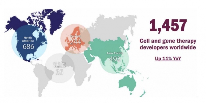 전세계 세포.유전자치료제 개발기업은 1457개사로 전년 대비 11% 증가했다. 이 중 47.1%인 686개사가 북미 지역에 소재하고 있고 아시아태평양 지역에는 492개사, 유럽에는 244개사가 치료제를 개발 중이다. 이미지=한국바이오협회 제공