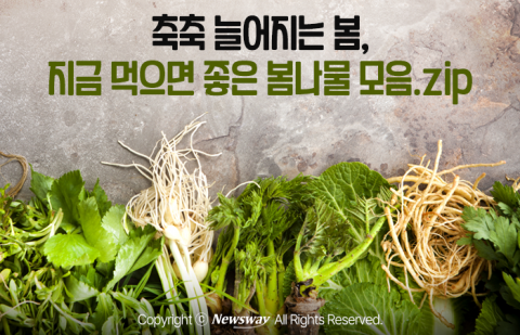 축축 늘어지는 봄, 지금 먹으면 좋은 봄나물 모음.zip