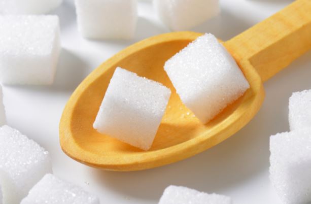 식량 가격, 두 달째 내리막···설탕값도 감소세 전환