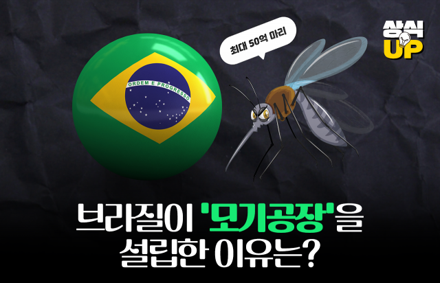 브라질이 '모기공장'을 설립한 이유는?