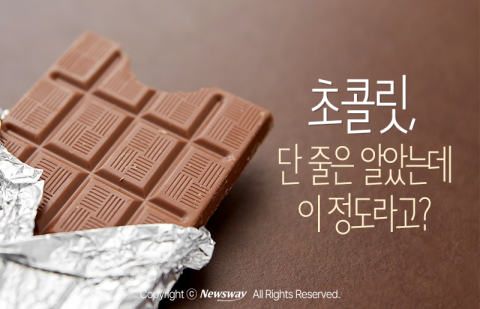 초콜릿, 단 줄은 알았는데 이 정도라고?