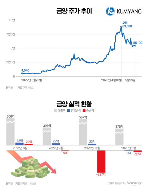 이차전지 탈 쓴 '금양' 겹악재에···개미 무덤 우려 확산