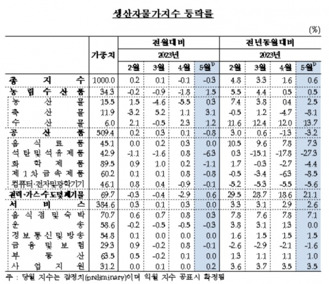 5월 생산자물가 전월比 0.3%↓···2개월 연속 하락