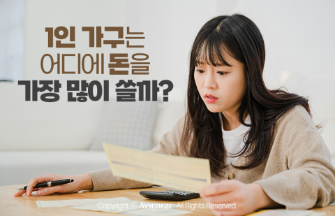 1인 가구는 어디에 돈을 가장 많이 쓸까?