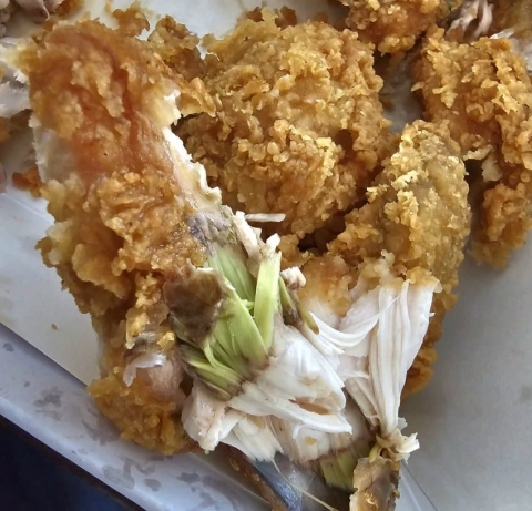 "응? 가슴살이 왜이래!"···'녹근병' 걸린 닭, 문제 없을까