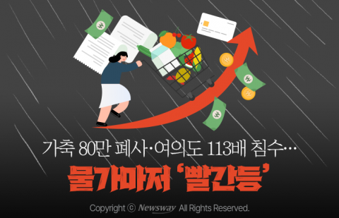 가축 80만 폐사·여의도 113배 침수···물가마저 '빨간등'