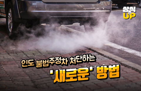 인도 불법주정차 처단하는 '새로운' 방법