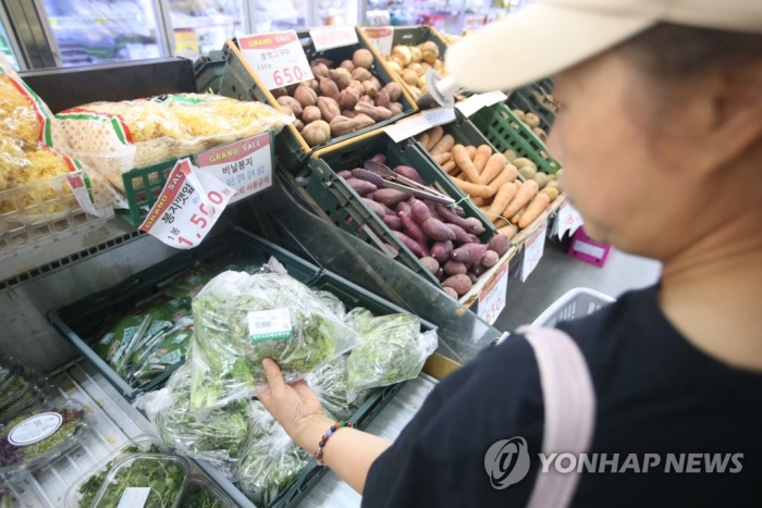 '폭염·폭우'에 시금치·상추 가격, 한 달 만에 2배 올라. 사진=연합뉴스