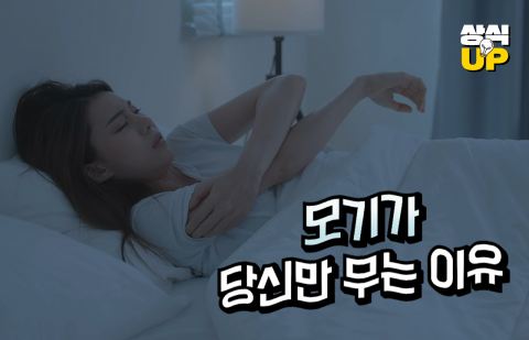 모기가 당신만 무는 이유