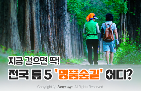 지금 걸으면 딱! 전국 톱 5 '명품숲길' 어디?