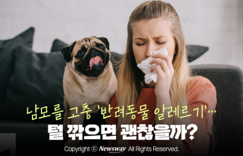 콧물, 재채기, 기침···반려동물 털 깎으면 괜찮을까?