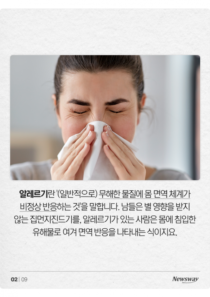 콧물, 재채기, 기침···반려동물 털 깎으면 괜찮을까? 기사의 사진