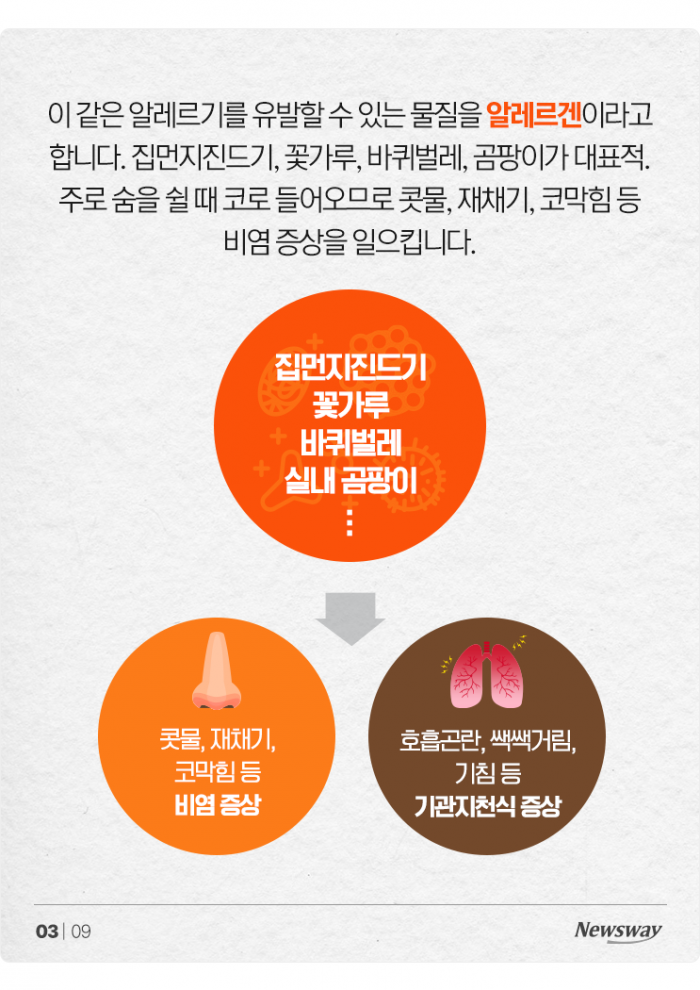 콧물, 재채기, 기침···반려동물 털 깎으면 괜찮을까? 기사의 사진