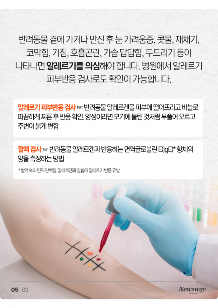 콧물, 재채기, 기침···반려동물 털 깎으면 괜찮을까? 기사의 사진