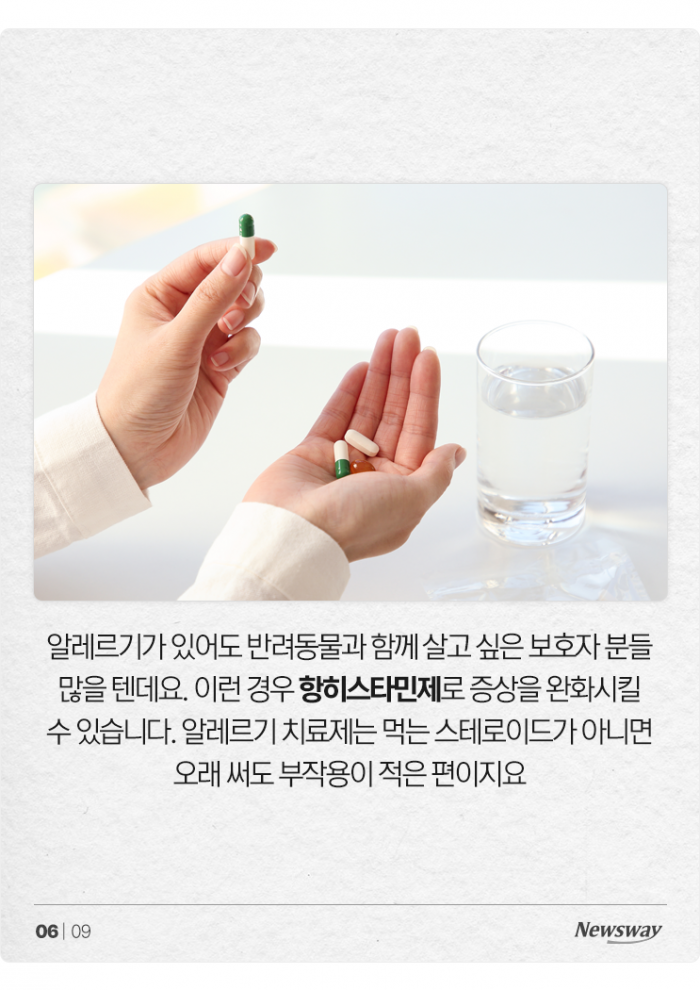 콧물, 재채기, 기침···반려동물 털 깎으면 괜찮을까? 기사의 사진