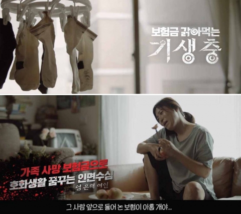 보험사기 금액 '1조원' 역대 최고···관계기관 합동 근절 캠페인