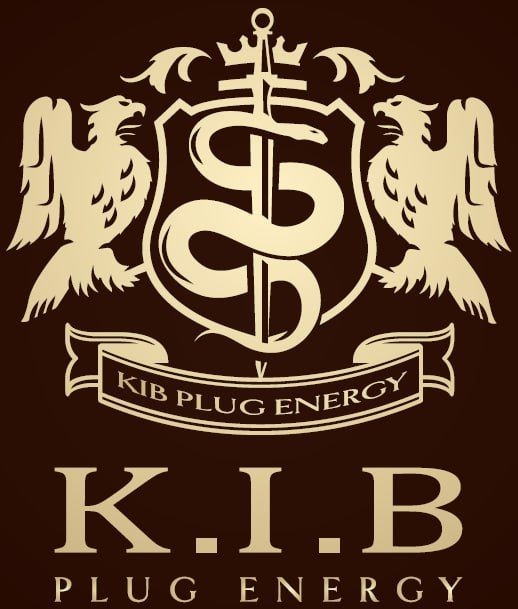 KIB플러그에너지, 지난해 연결 매출 1373억원 달성···전년 比 30% 증가 기사의 사진
