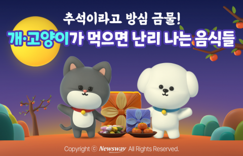 추석이라고 방심 금물! 개·고양이가 먹으면 난리 나는 음식들