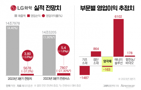뒤늦게 LFP 뛰어든 LG화학···배터리소재 실적부진 '정면돌파'