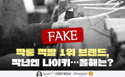 짝퉁 적발 1위 브랜드, 작년엔 나이키···올해는?