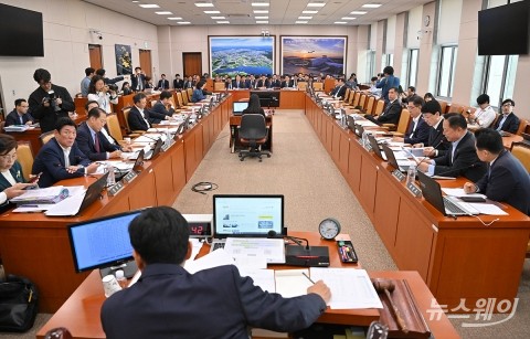 &quot;딥페이크 음란물, 안 막나 못 막나&quot;···구글 독점도 '도마 위'