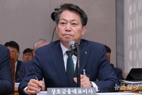 농해수위 국감 출석한 조소행 농협상호금융 대표