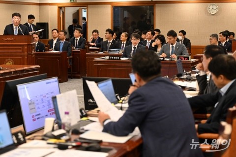 의원 질의 답하는 김응철 우리종합금융 대표