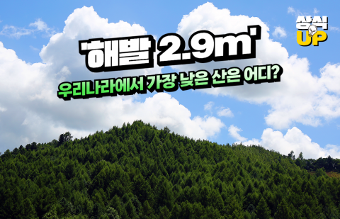 '해발 2.9m' 우리나라에서 가장 낮은 산은 어디?