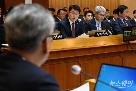 의원 질의 답변하는 진승호 한국투자공사 사장