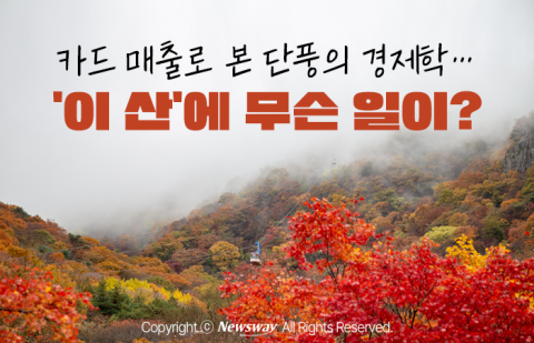카드 매출로 본 단풍의 경제학···'이 산'에 무슨 일이?