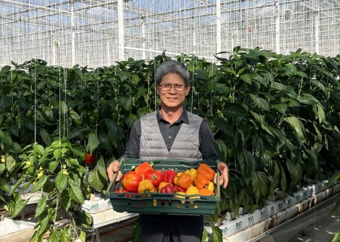 쿠팡, 못난이 채소 370톤 매입···"농가 지원 및 물가 부담 해소"