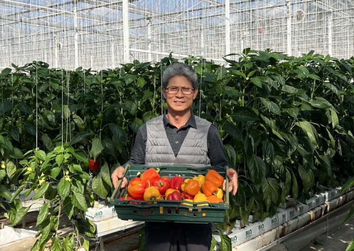 쿠팡이 전국서 못난이 채소 370톤을 매입했다. 사진=쿠팡 제공