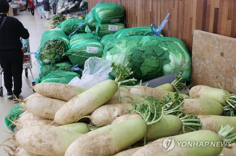 한국물가협회 &quot;4인 가족 김장 비용 38만원&quot;