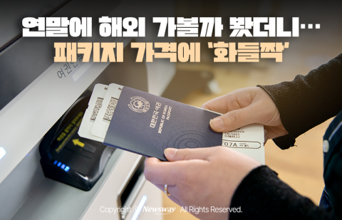 연말에 해외 가볼까 봤더니···패키지 가격에 '화들짝'