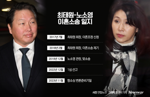 최태원·노소영 이혼소송 항소심···노 관장, 직접 출석