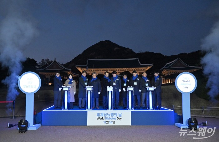 대한당뇨병학회가 14일 오후 청와대에서 11월 14일 세계 당뇨병의 날을 맞아 보건복지부와 공동 주최하는 '청와대 푸른빛 점등식'을 진행하고 있다. 사진=이수길 기자 Leo2004@newsway.co.kr