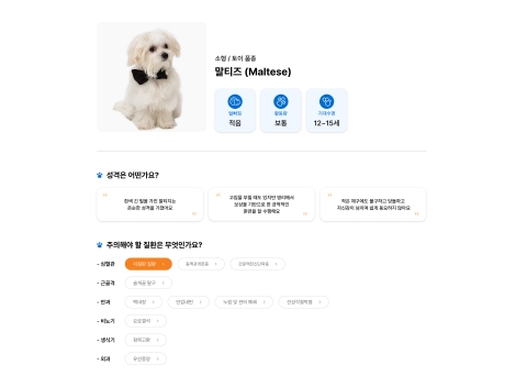 손보협회, 반려동물 보험 제도 개선···'10개 견종 건강 가이드라인' 제공