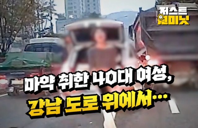'여기 한국 맞아?' 마약 취한 40대 여성, 강남 도로 위에서···