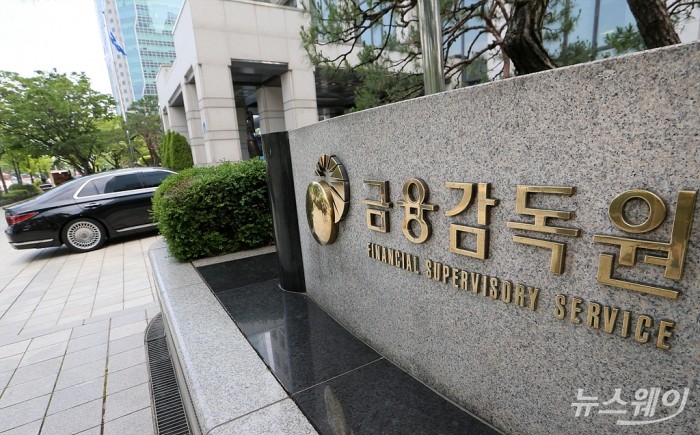 금융감독원이 홍콩 ELS 판매사들의 판매과정 부당행위를 적시한 '검사의견서'를 이번주 내 송부한다. 사진=뉴스웨이DB