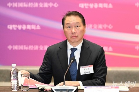 이재용·최태원 &quot;정부와 원팀&quot;···'병풍 논란' 수습한 재계 맏형들