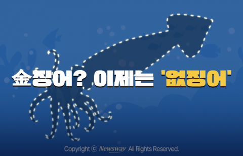 '금징어'도 모자라 이제는 '없징어'