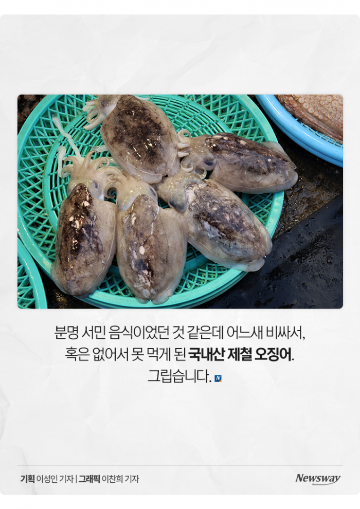 '금징어'도 모자라 이제는 '없징어' 기사의 사진