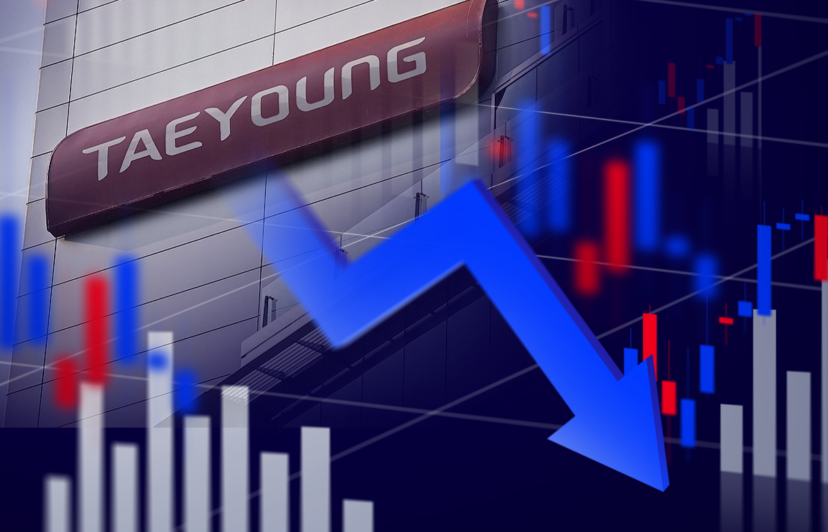 태영건설에 베팅하는 개미들···전문가들 무지성 투자 경고 - 뉴스웨이