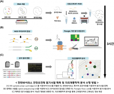 '3시간 안에 한탄바이러스 감염 진단'···고대의대, 새 분석법 개발