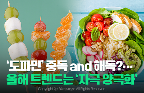 '도파민' 중독 and 해독?···올해 트렌드는 '자극 양극화'