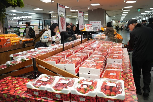 롯데마트·슈퍼, 당일 수확 '새벽 딸기' 판매