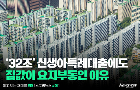 '32조' 신생아특례대출에도 집값이 요지부동인 이유