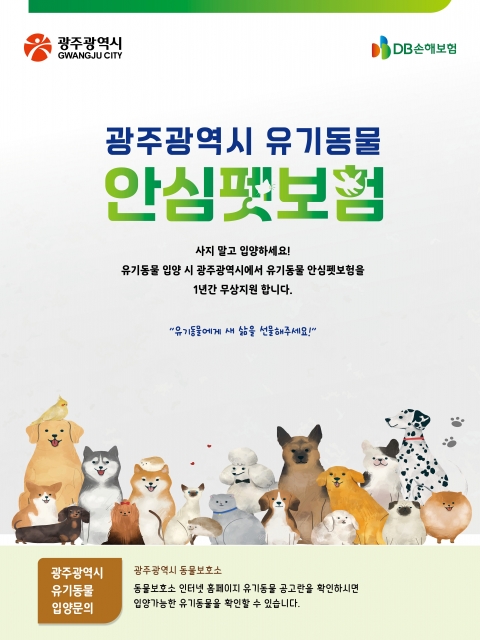 DB손보, 광주 유기동물 안심펫보험 지원사업 최종사업자 선정