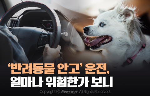 '반려동물 안고' 운전, 얼마나 위험한가 보니