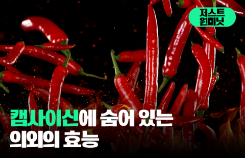 캡사이신에 숨어 있는 의외의 효능